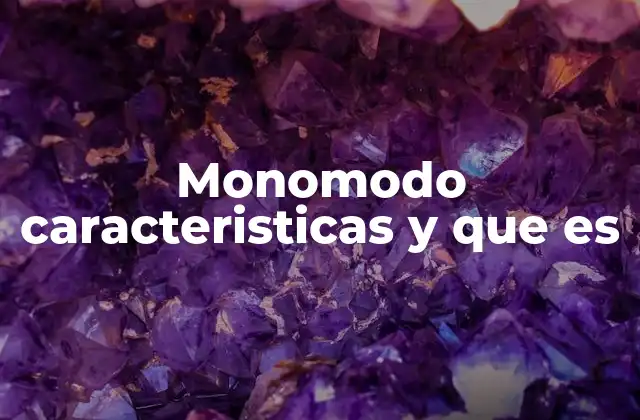 Monomodo Caracteristicas y que es