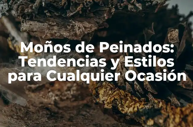 Moños de Peinados: Tendencias y Estilos para Cualquier Ocasión