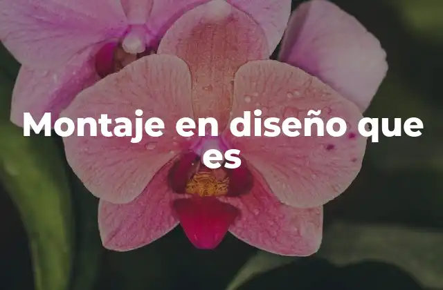 Montaje en Diseño que es