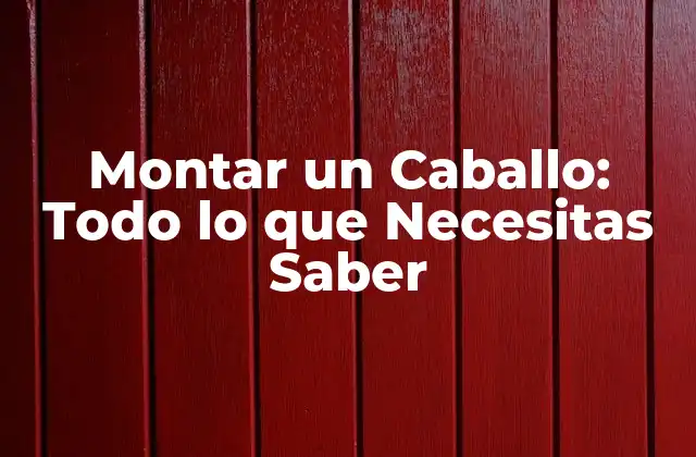 Montar un Caballo: Todo Lo que Necesitas Saber