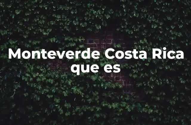 Monteverde Costa Rica que es