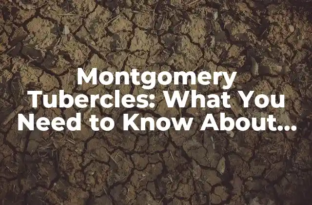 Montgomery Tubercles: What You Need To Know About These Small Bumps