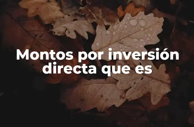 Montos por Inversión Directa que es