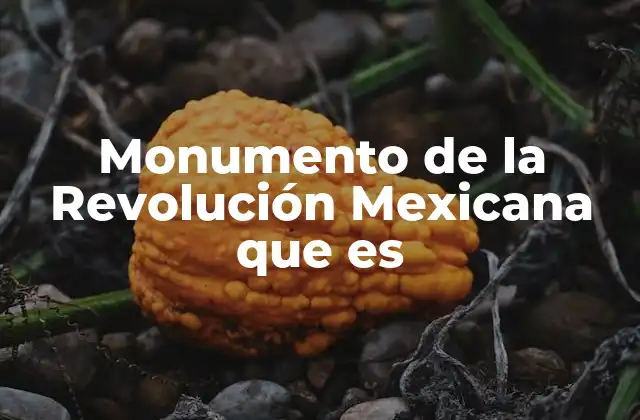 Monumento de la Revolución Mexicana que es