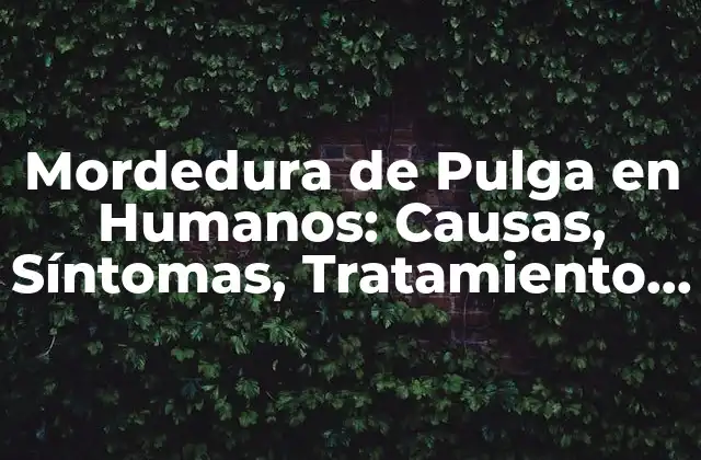 Mordedura de Pulga en Humanos: Causas, Síntomas, Tratamiento y Prevención