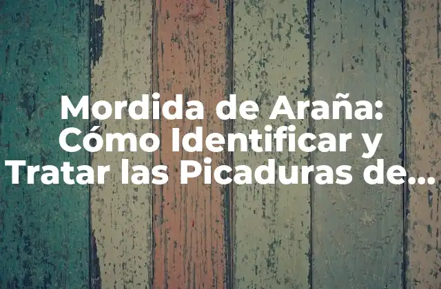 Mordida de Araña: Cómo Identificar y Tratar las Picaduras de Araña