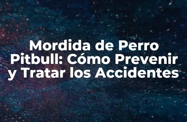 Mordida de Perro Pitbull: Cómo Prevenir y Tratar los Accidentes