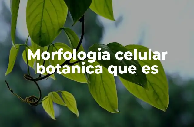 Morfologia Celular Botanica que es