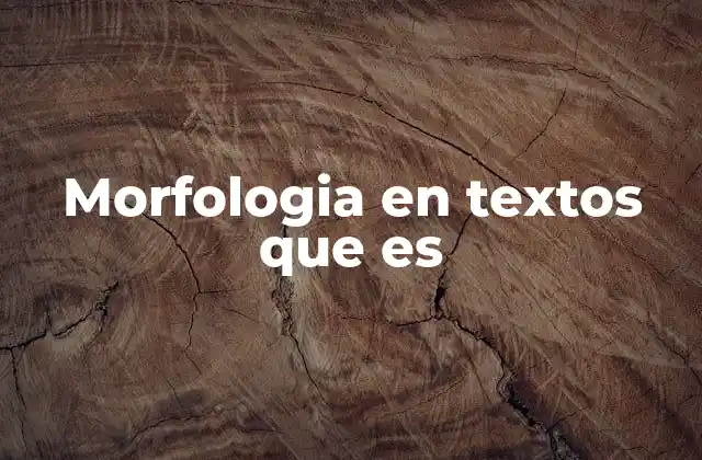 Morfologia en Textos que es
