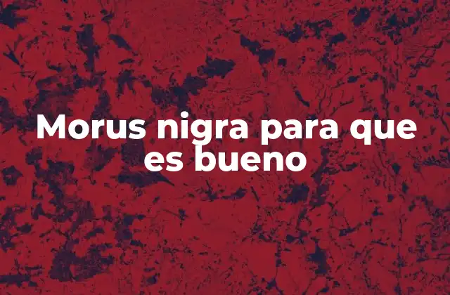 Morus Nigra para que es Bueno