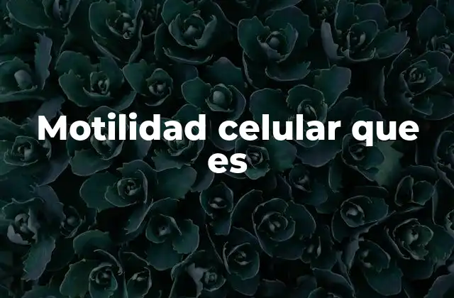 Motilidad Celular que es