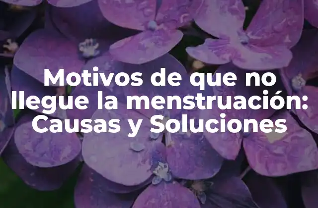 Motivos de que No Llegue la Menstruación: Causas y Soluciones