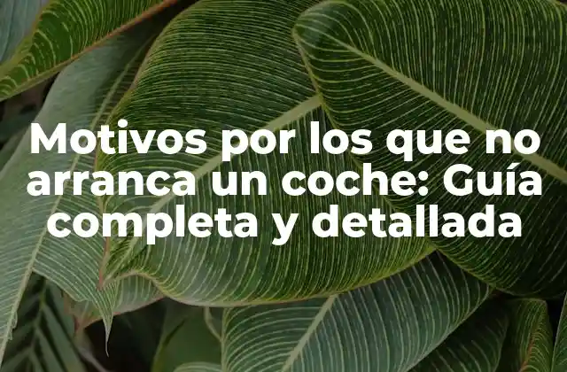 Motivos por los que No Arranca un Coche: Guía Completa y Detallada