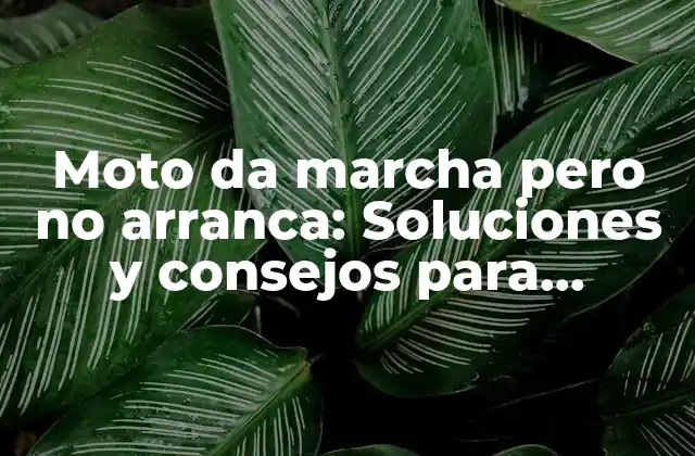Moto Da Marcha pero No Arranca: Soluciones y Consejos para Diagnosticar y Reparar