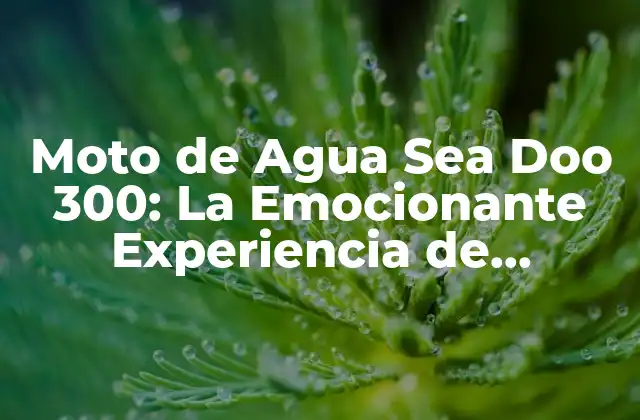 Moto de Agua Sea Doo 300: la Emocionante Experiencia de Navegación
