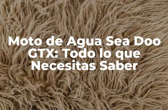 Moto de Agua Sea Doo Gtx: Todo Lo que Necesitas Saber