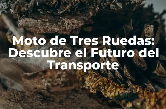 Moto de Tres Ruedas: Descubre el Futuro Del Transporte