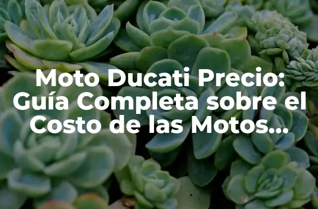 ¿Cuál es el Precio Promedio de una Moto Ducati?