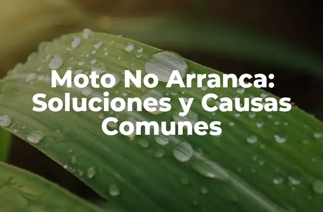 Moto No Arranca: Soluciones y Causas Comunes