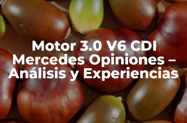 Motor 3.0 V6 Cdi Mercedes Opiniones – Análisis y Experiencias