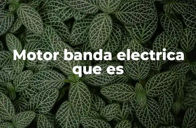 Motor Banda Electrica que es