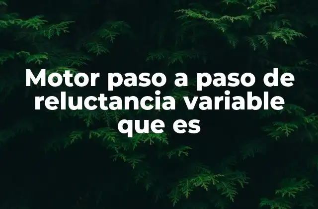 Motor Paso a Paso de Reluctancia Variable que es