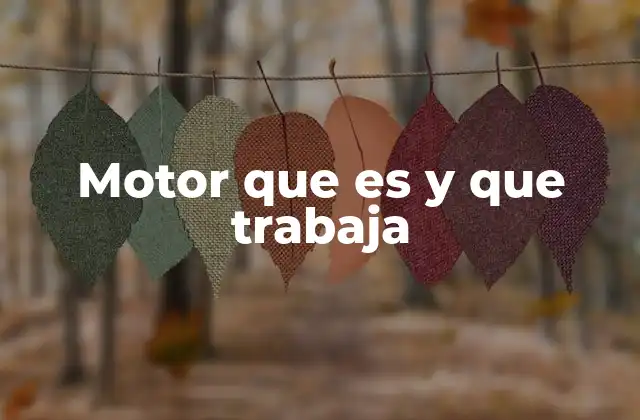 Motor que es y que Trabaja