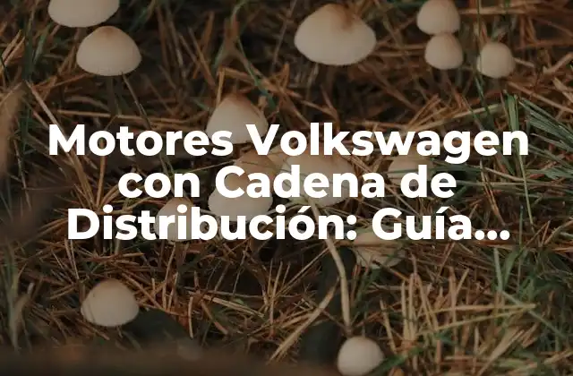 Motores Volkswagen con Cadena de Distribución: Guía Completa
