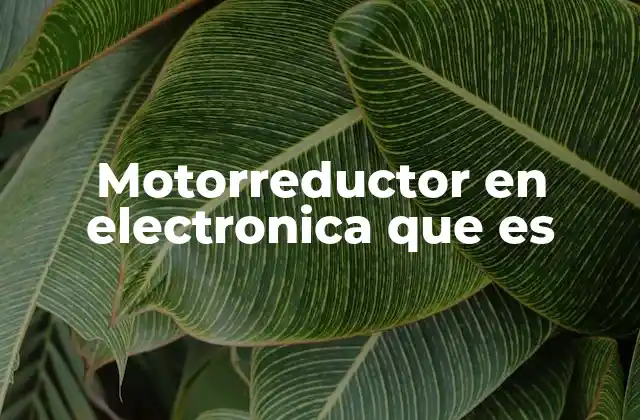 Motorreductor en Electronica que es