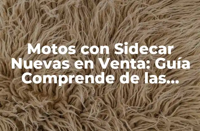 Motos con Sidecar Nuevas en Venta: Guía Comprende de las Mejores Opciones