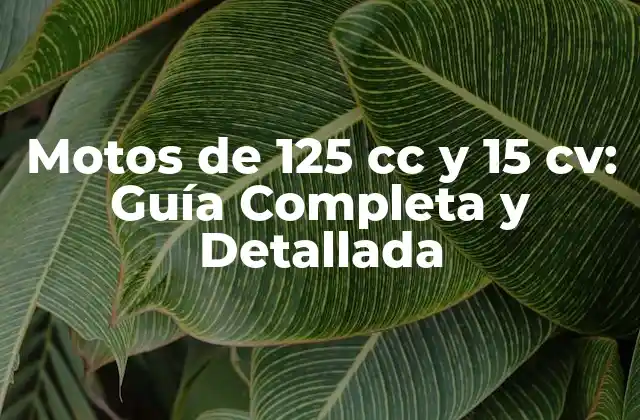 Motos de 125 Cc y 15 Cv: Guía Completa y Detallada 2 Características y Beneficios de las Motos de 125 cc y 15 cv