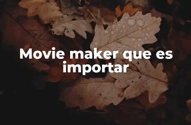 Movie Maker que es Importar