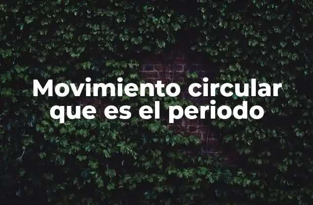 Movimiento Circular que es el Periodo
