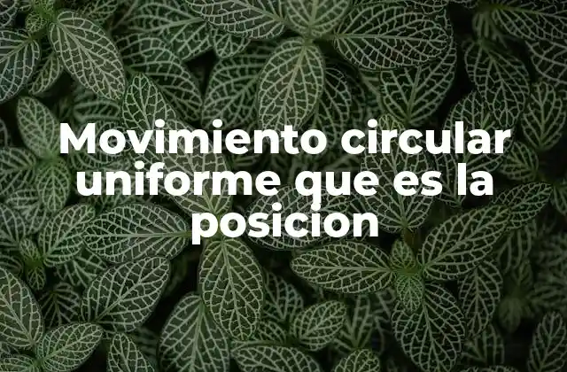 Cómo se analiza la posición en un movimiento circular