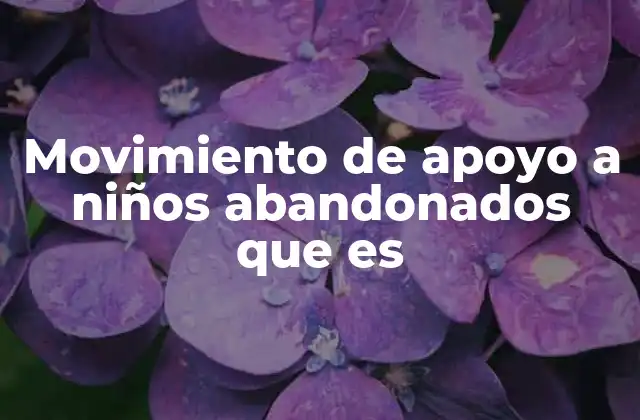 Movimiento de Apoyo a Niños Abandonados que es