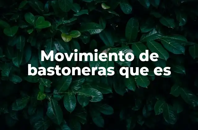 Movimiento de Bastoneras que es