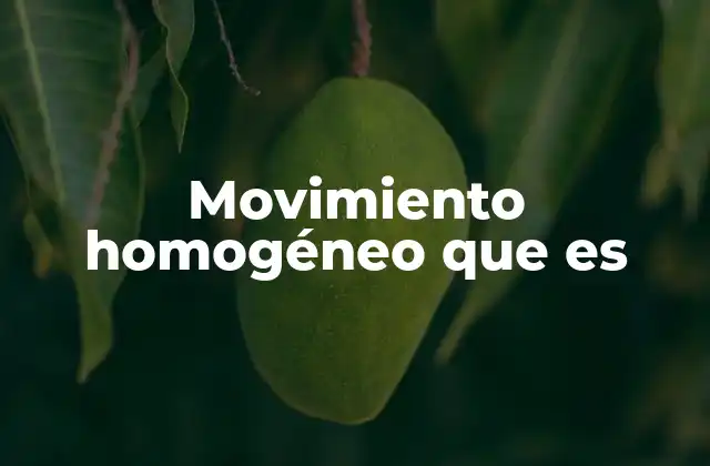 Movimiento Homogéneo que es