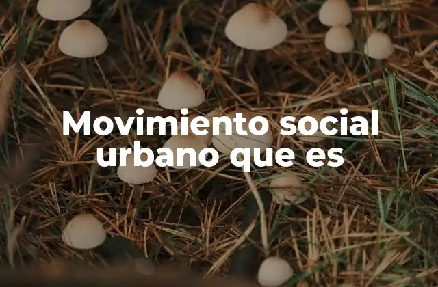 Movimiento Social Urbano que es