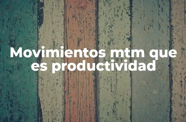 Movimientos Mtm que es Productividad
