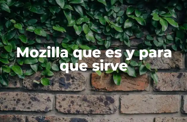 Mozilla que es y para que Sirve