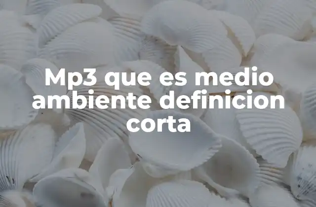 Mp3 que es Medio Ambiente Definicion Corta