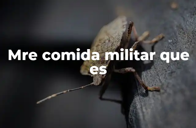 El papel del MRE en la logística militar