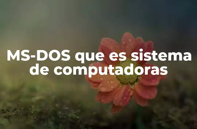 Ms-dos que es Sistema de Computadoras