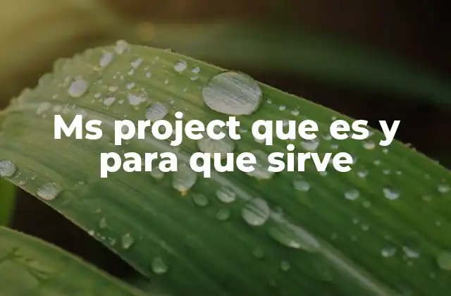 Ms Project que es y para que Sirve