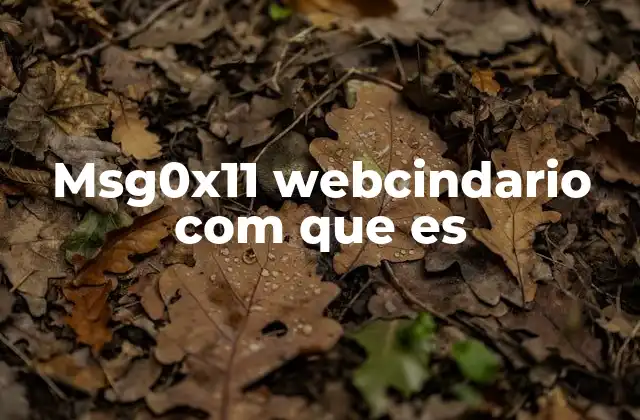 Msg0x11 Webcindario Com que es