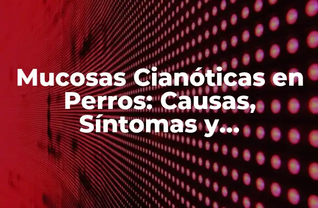Mucosas Cianóticas en Perros: Causas, Síntomas y Tratamiento