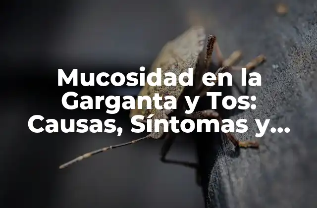 Mucosidad en la Garganta y Tos: Causas, Síntomas y Tratamientos