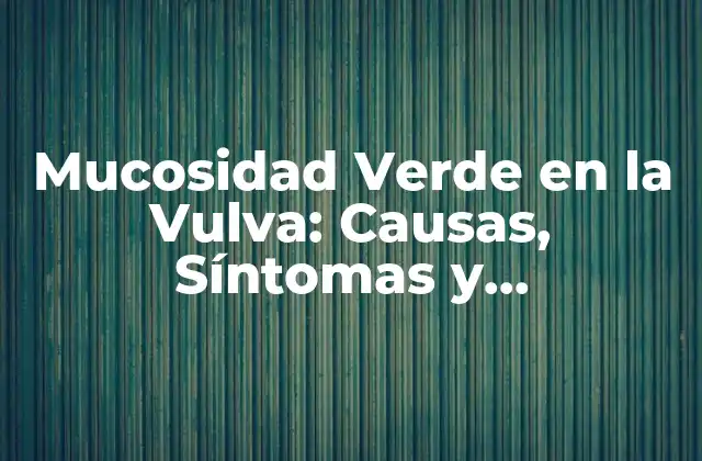 Mucosidad Verde en la Vulva: Causas, Síntomas y Tratamiento