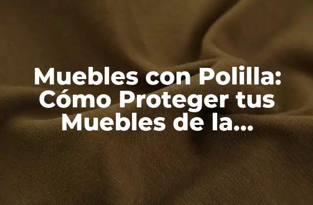 Muebles con Polilla: Cómo Proteger Tus Muebles de la Deterioración