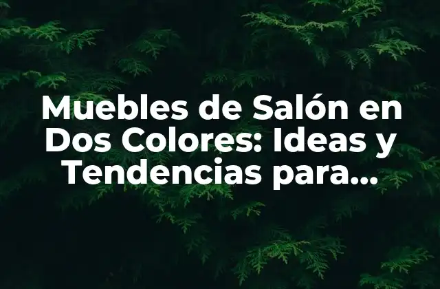 Muebles de Salón en Dos Colores: Ideas y Tendencias para Decorar